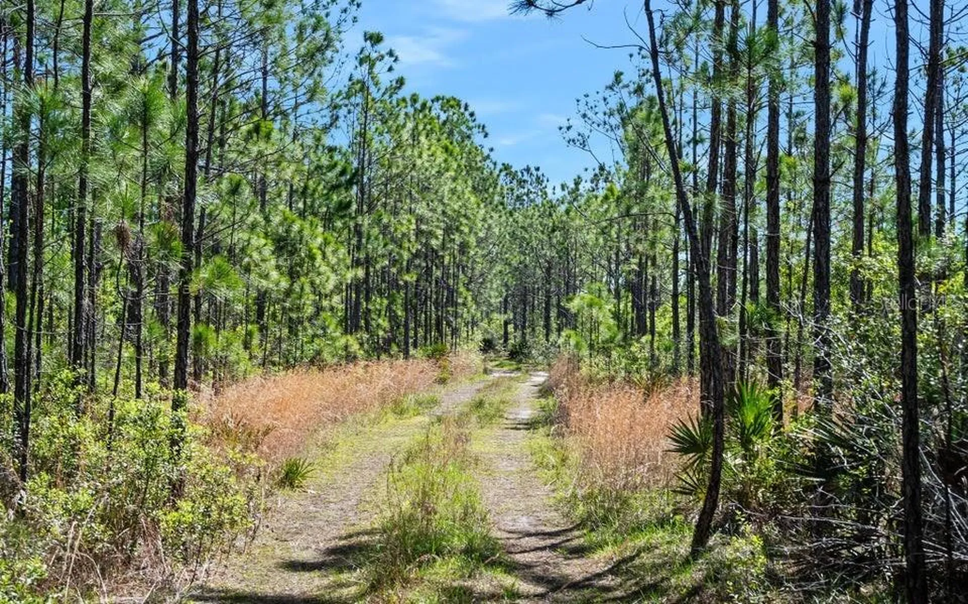 0 Carter Street Bunnell FL 32110