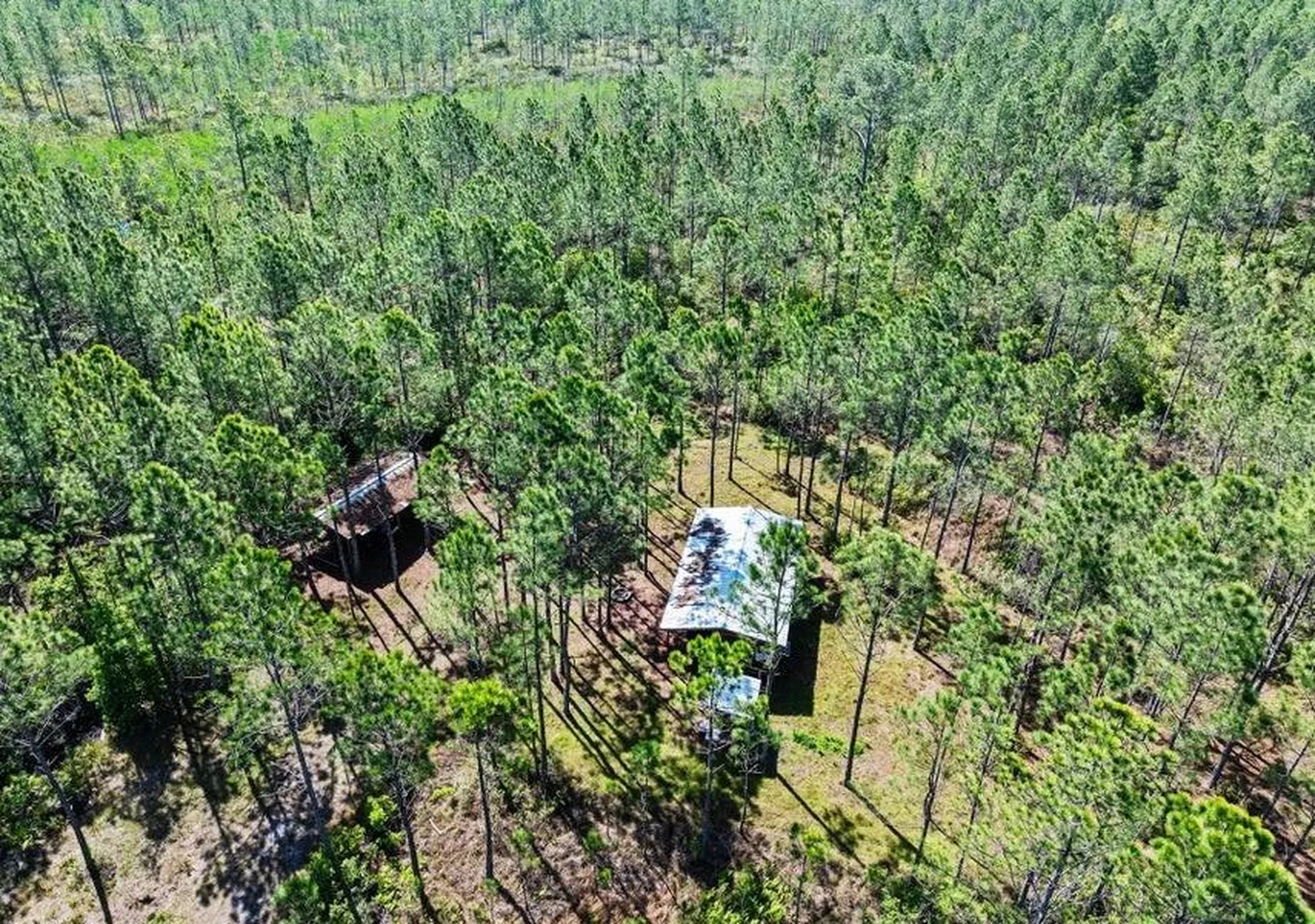 0 Carter Street Bunnell FL 32110