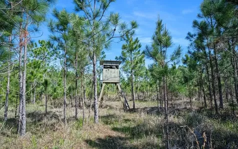 0 Carter Street Bunnell FL 32110