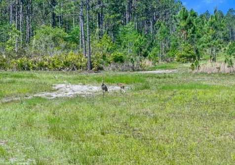 0 Carter Street Bunnell FL 32110