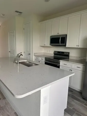 3077 Caribbean Soul Drive Kissimmee FL 34747