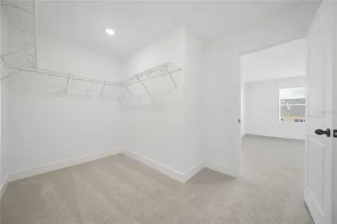 15219 Hamlin Park Drive Winter Garden FL 34787
