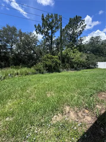 338 Kingfish Drive Kissimmee FL 34759