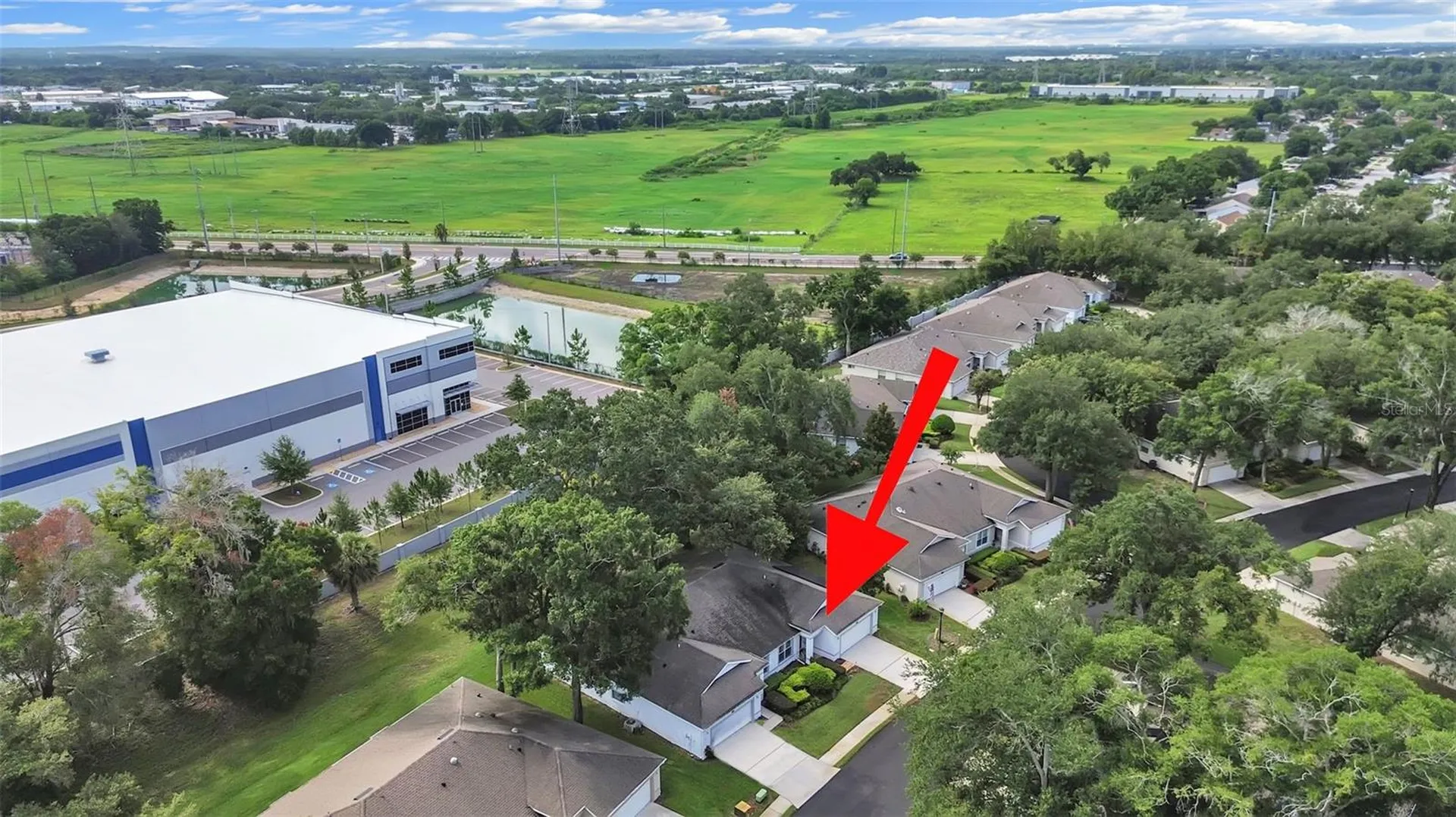 8609 Alexandra Arbor Lane Temple Terrace FL 33637