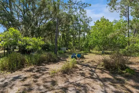 5500 Ventura Acres Road Groveland FL 34736