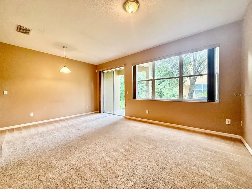8173 Stone View Drive Tampa FL 33647