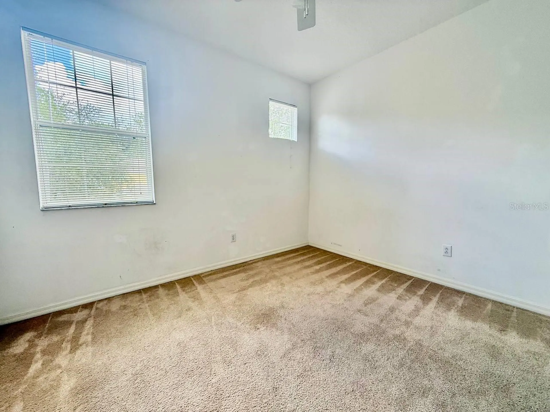 8173 Stone View Drive Tampa FL 33647