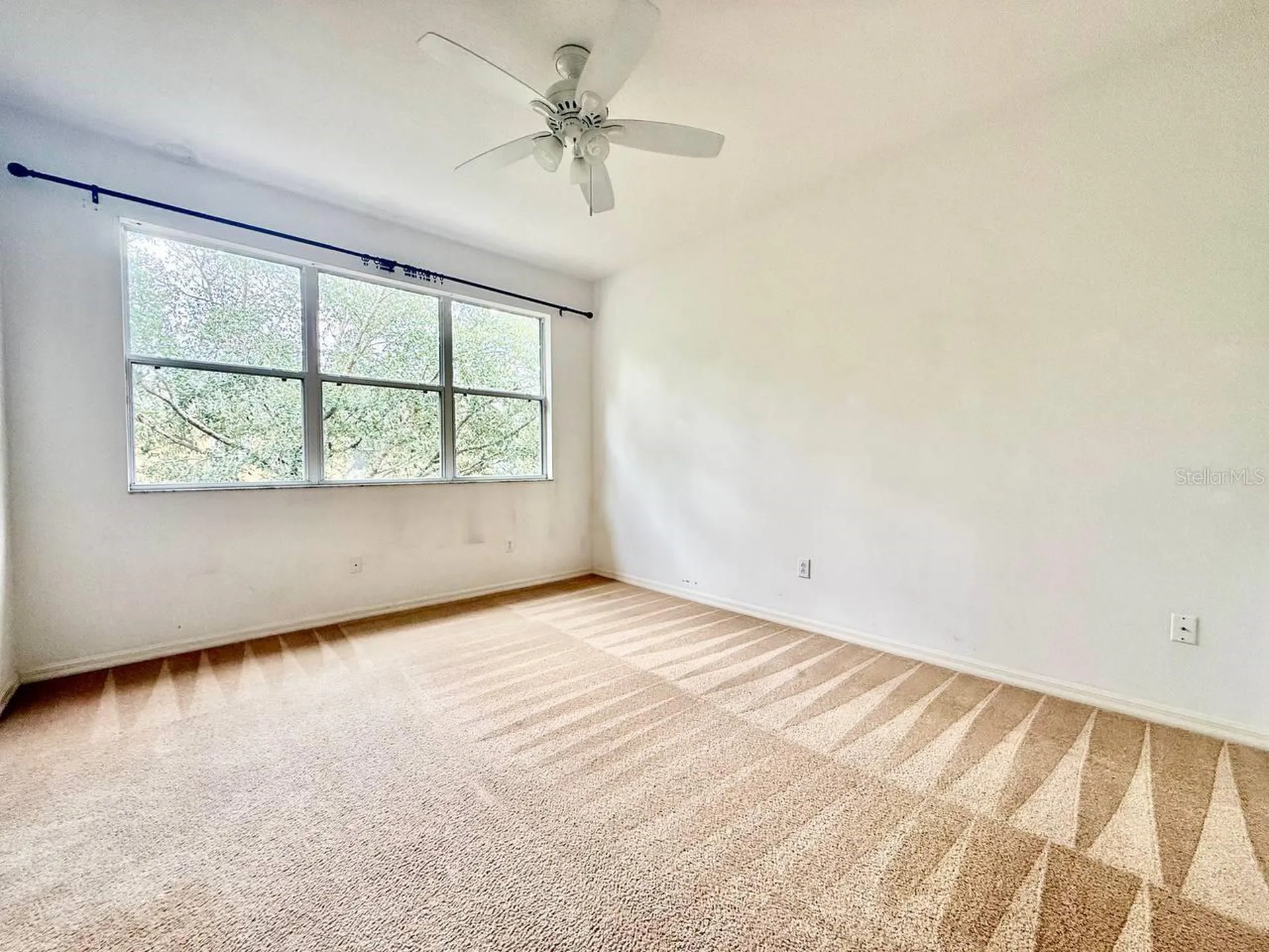 8173 Stone View Drive Tampa FL 33647