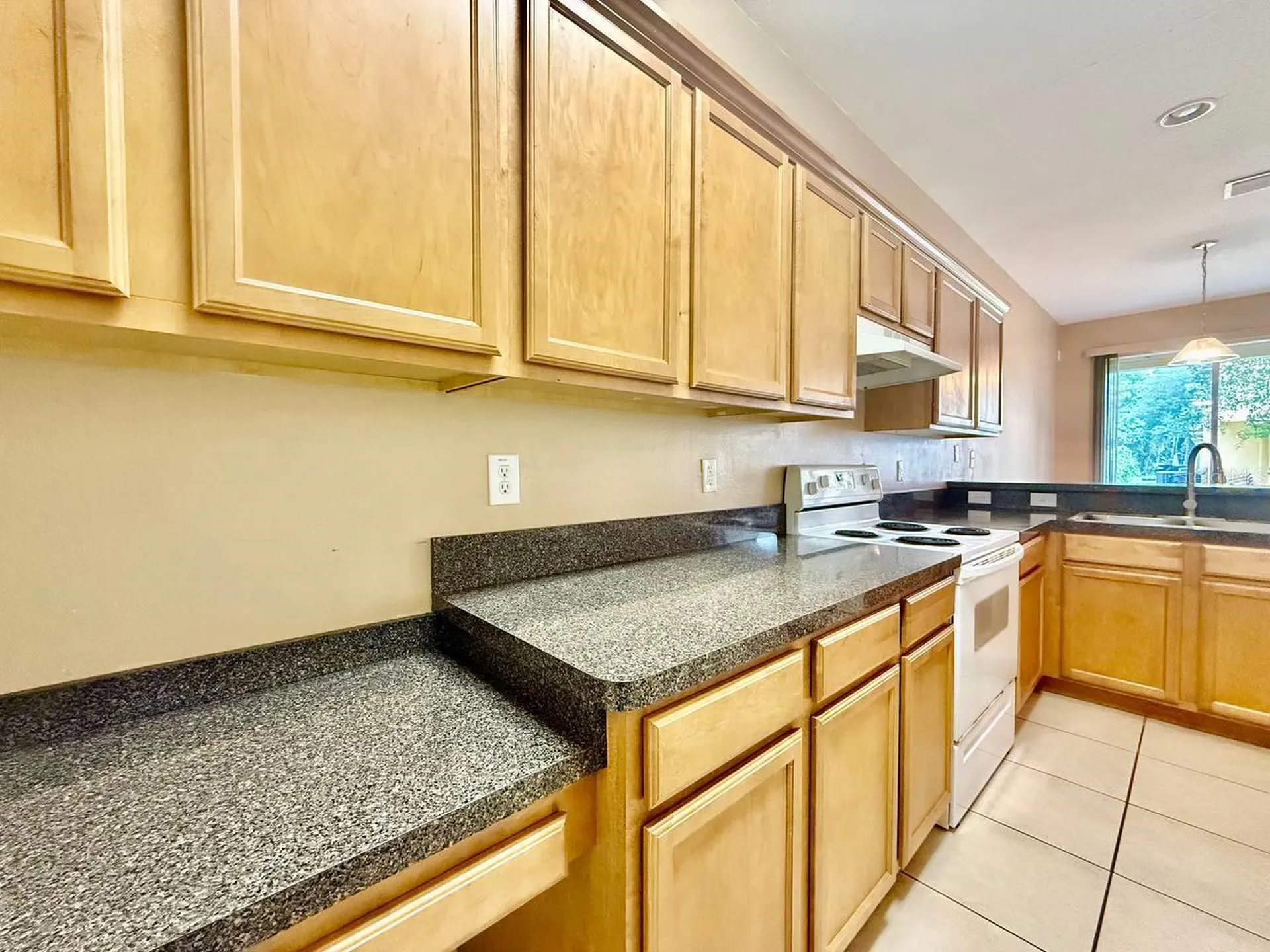 8173 Stone View Drive Tampa FL 33647