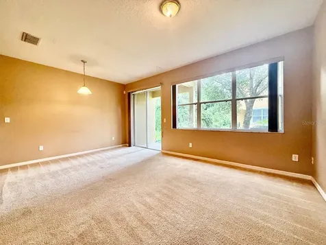 8173 Stone View Drive Tampa FL 33647