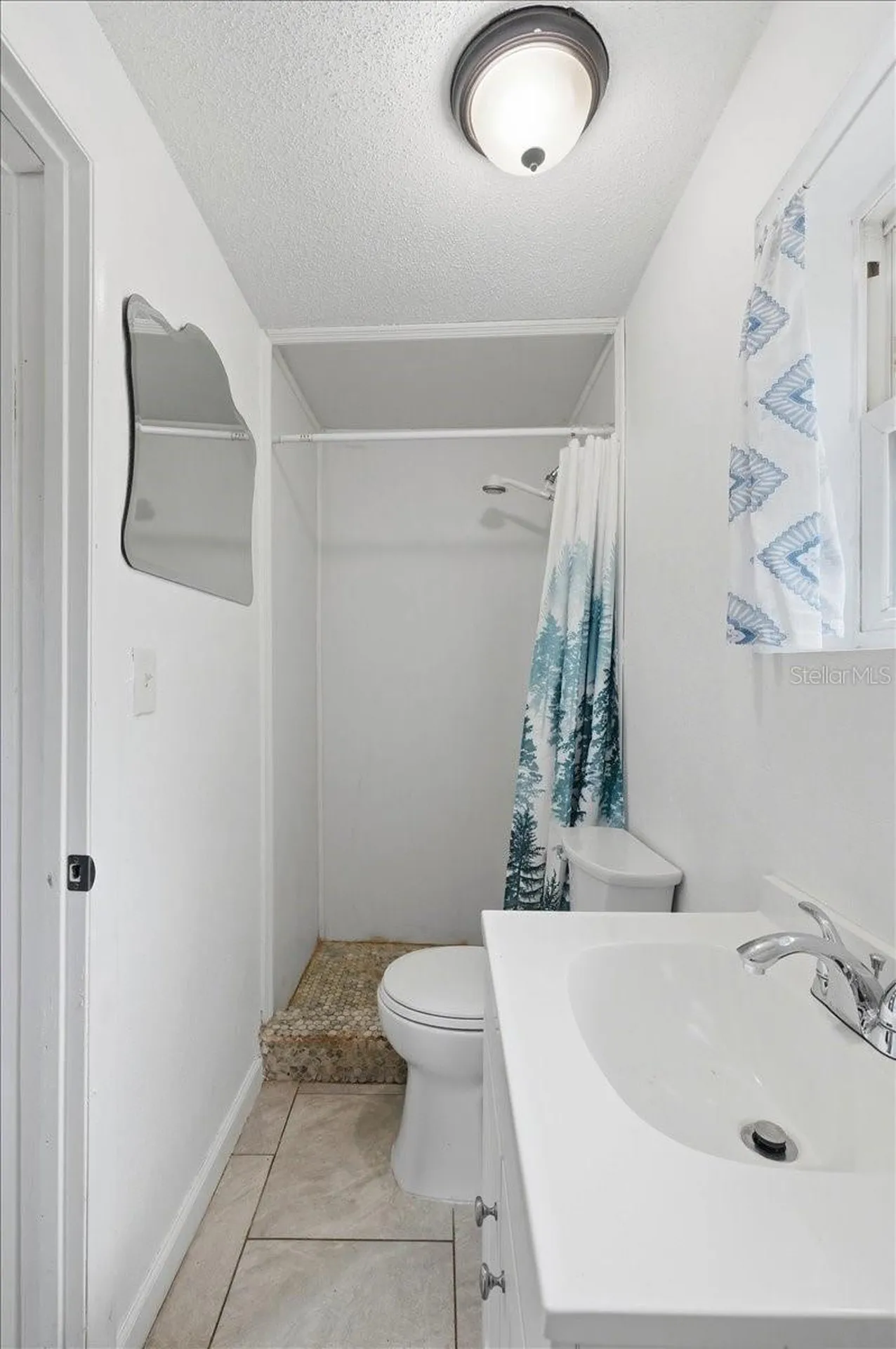 2418 Jungle Street Lakeland FL 33801