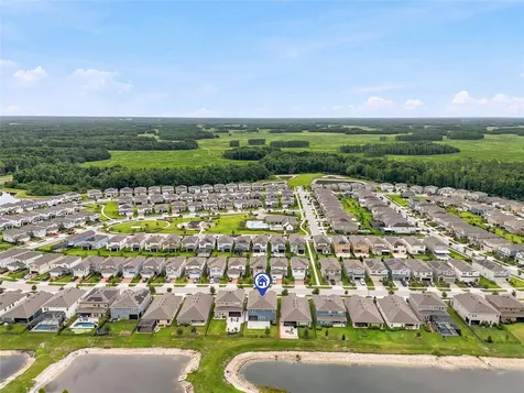 17842 Everlong Drive Land O Lakes FL 34638