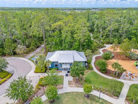 17842 Everlong Drive Land O Lakes FL 34638