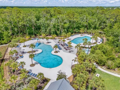 17842 Everlong Drive Land O Lakes FL 34638