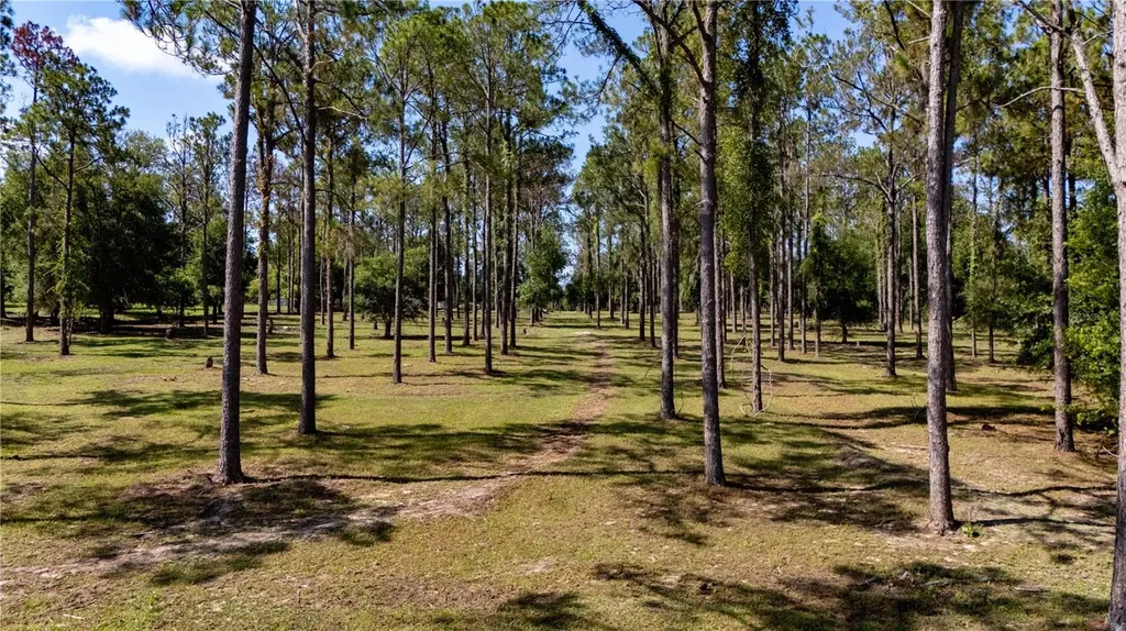 0 Reed Road Dade City FL 33523