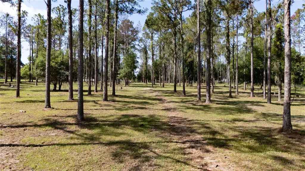 0 Reed Road Dade City FL 33523