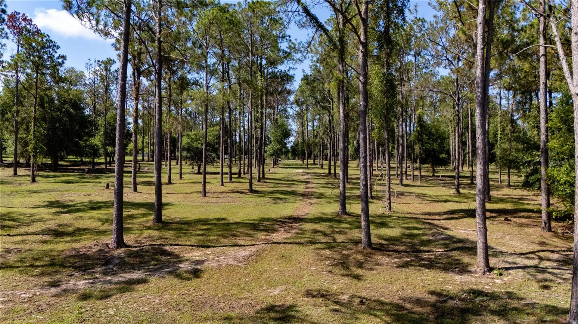 0 Reed Road Dade City FL 33523