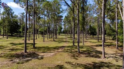 0 Reed Road Dade City FL 33523