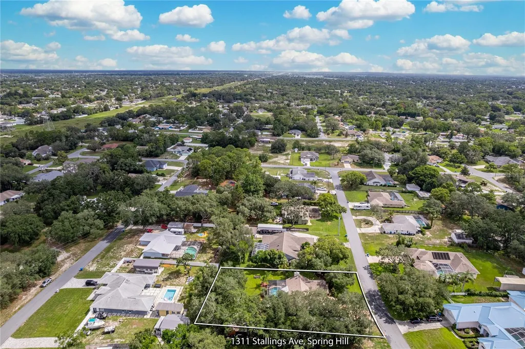 1311 Stallings Avenue Spring Hill FL 34609