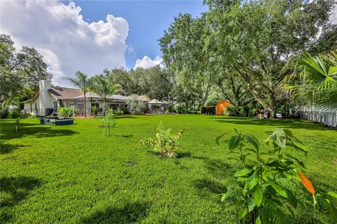 1311 Stallings Avenue Spring Hill FL 34609