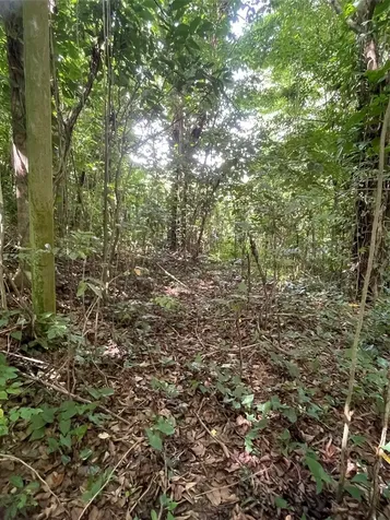 Pr 176 Km6.6 Cupey Alto San Juan PR 00926
