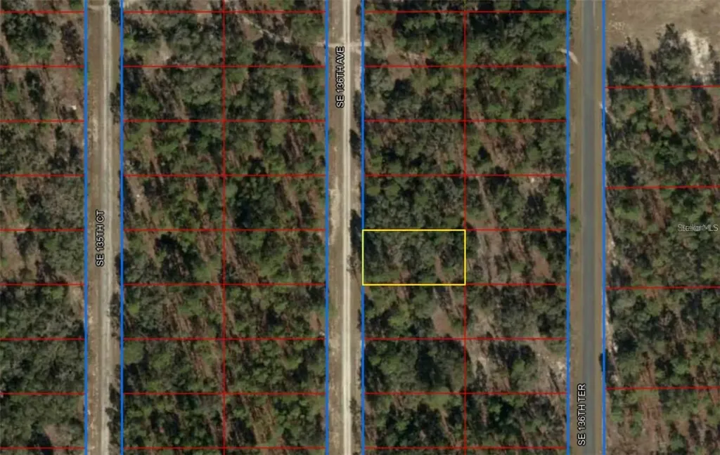 00 SW 136th Avenue Dunnellon FL 34431