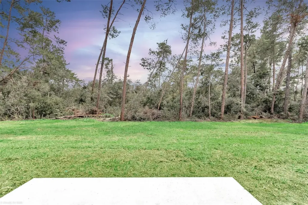 3398 SW 165th Loop Ocala FL 34473