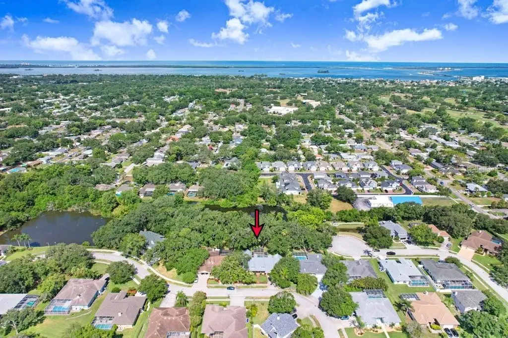 1976 Dunloe Circle Dunedin FL 34698