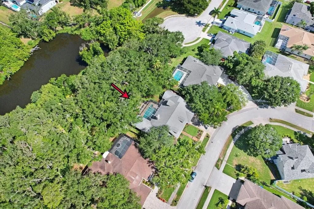 1976 Dunloe Circle Dunedin FL 34698
