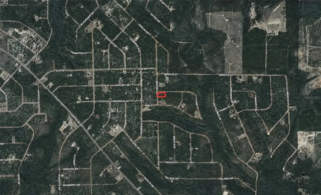Broom Avenue Marianna FL 32448
