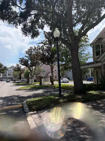 3455 Westchester Square Boulevard Orlando FL 32835