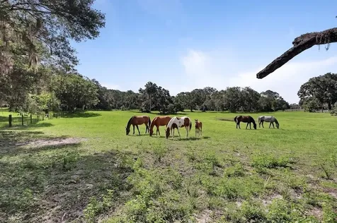 900 E Kicklighter (5 +- Acres) Road Lake Helen FL 32744