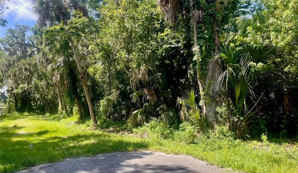 420-428 Palmetto Street Edgewater FL 32132