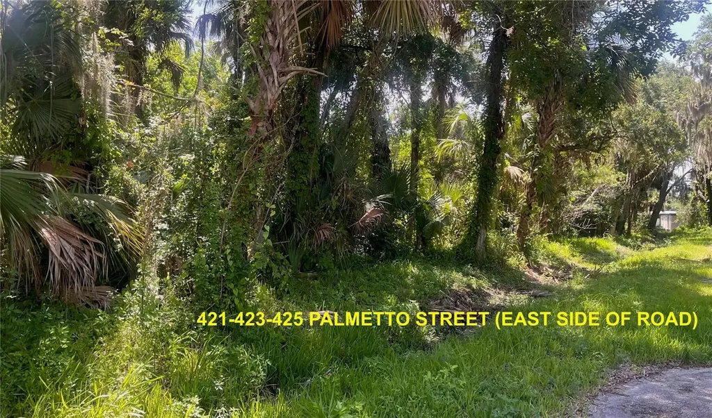 420-428 Palmetto Street Edgewater FL 32132