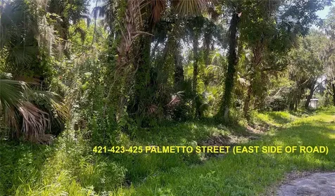 420-428 Palmetto Street Edgewater FL 32132