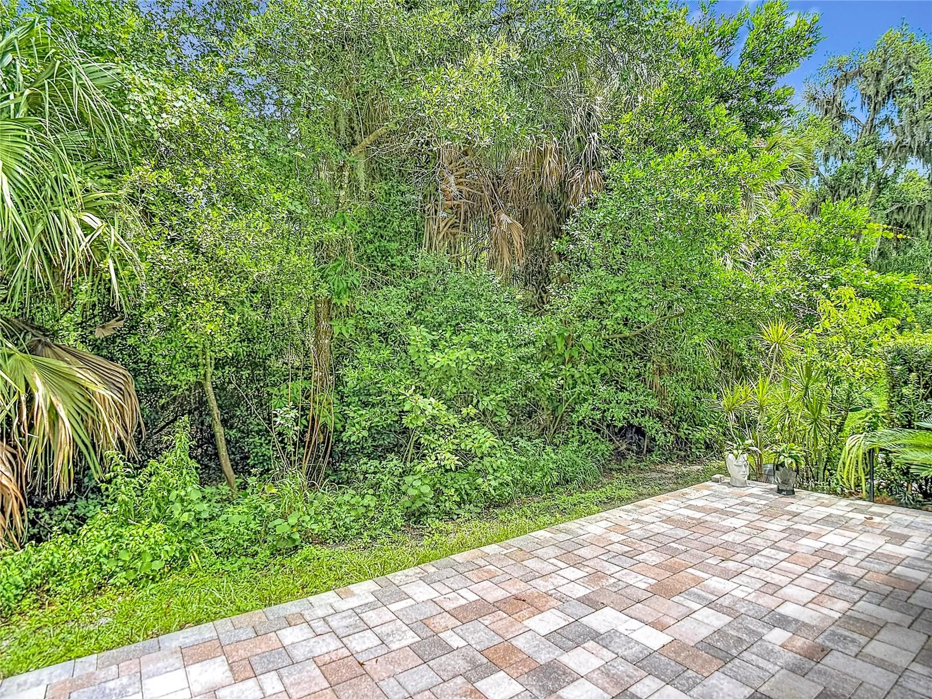 5324 Riverwalk Preserve Drive New Port Richey FL 34653
