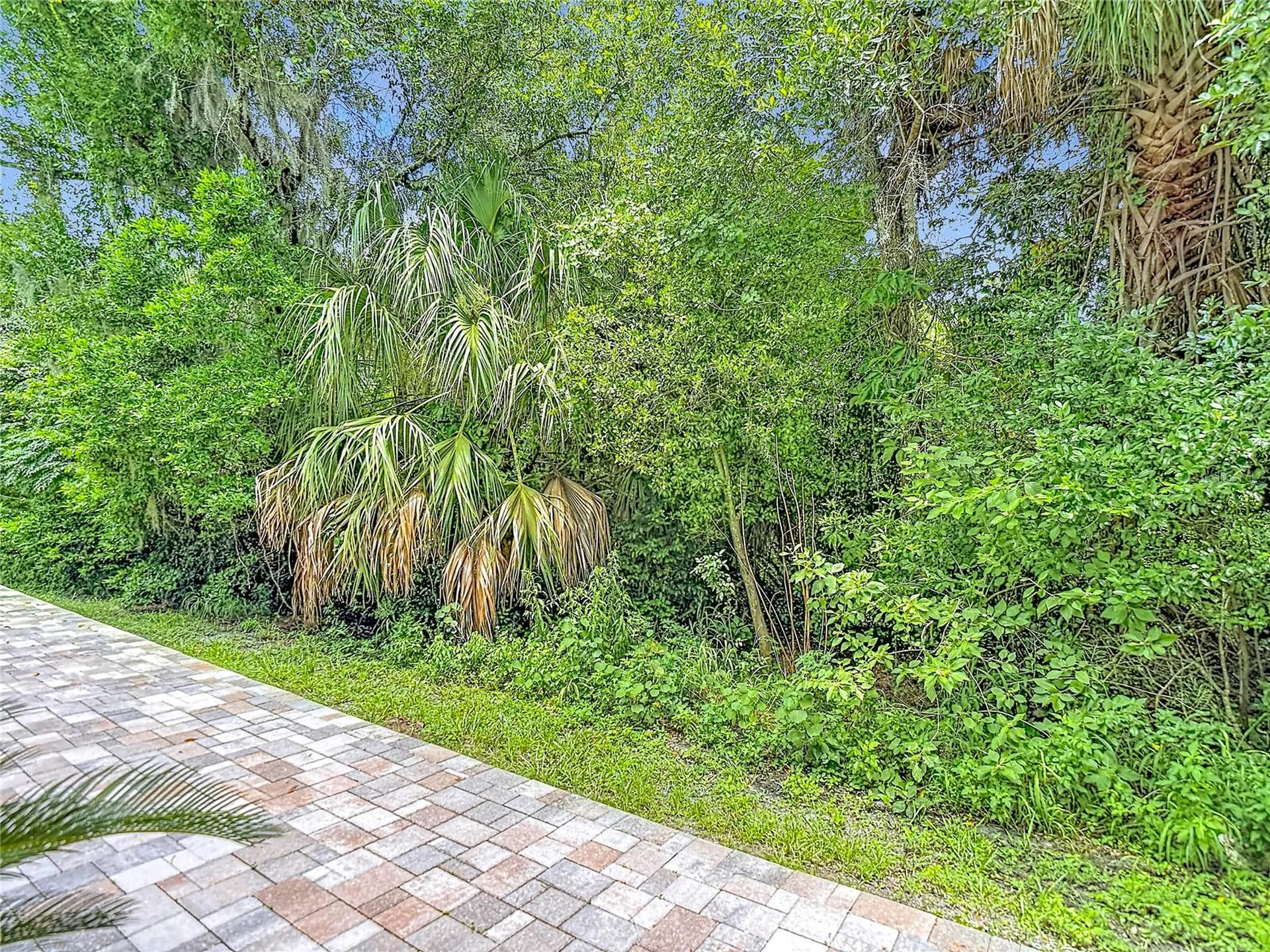 5324 Riverwalk Preserve Drive New Port Richey FL 34653