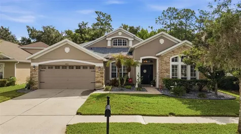 6846 Pine Springs Wesley Chapel FL 33545