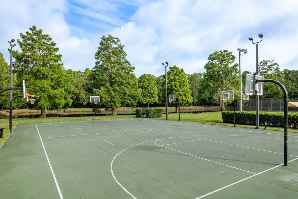 3857 Timber Ridge Court Palm Harbor FL 34685