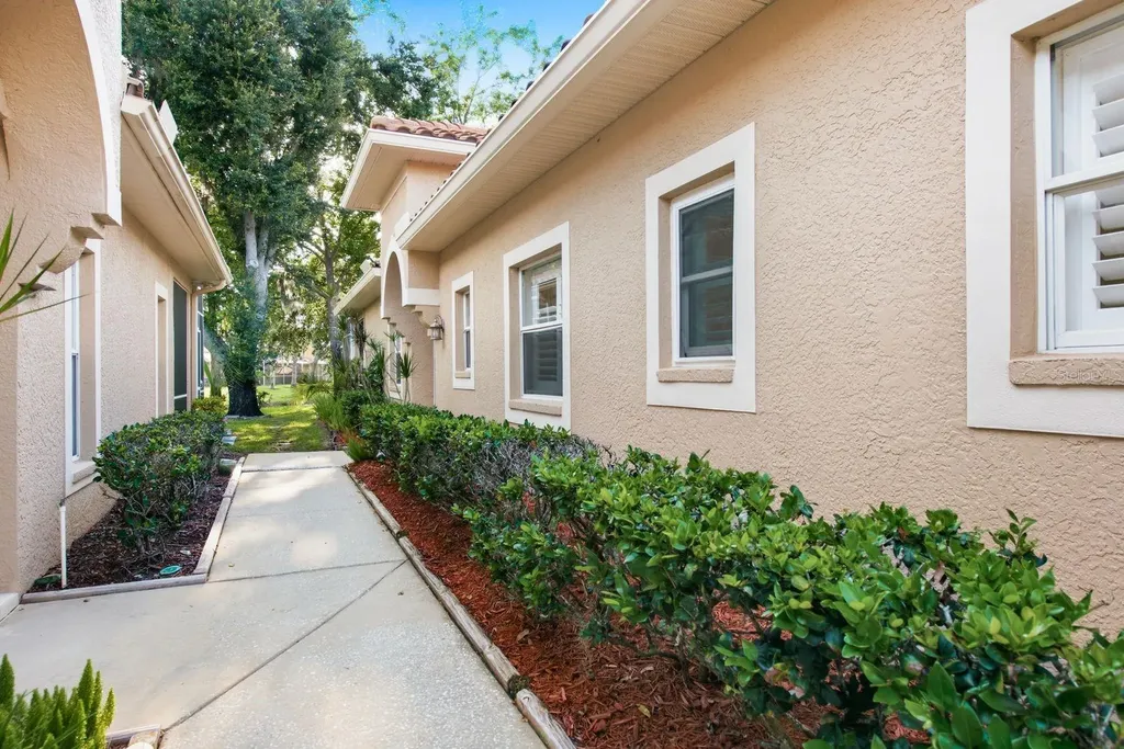 3857 Timber Ridge Court Palm Harbor FL 34685