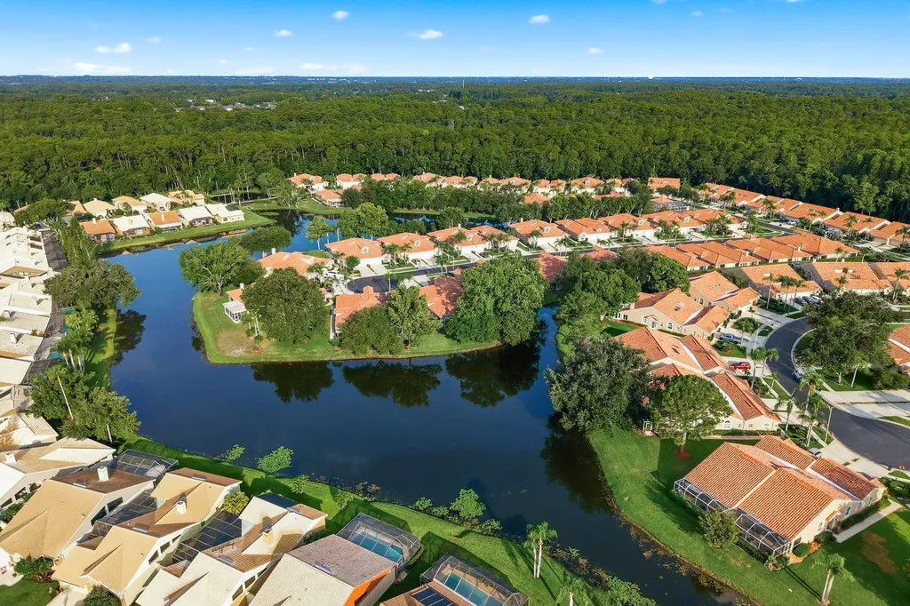 3857 Timber Ridge Court Palm Harbor FL 34685