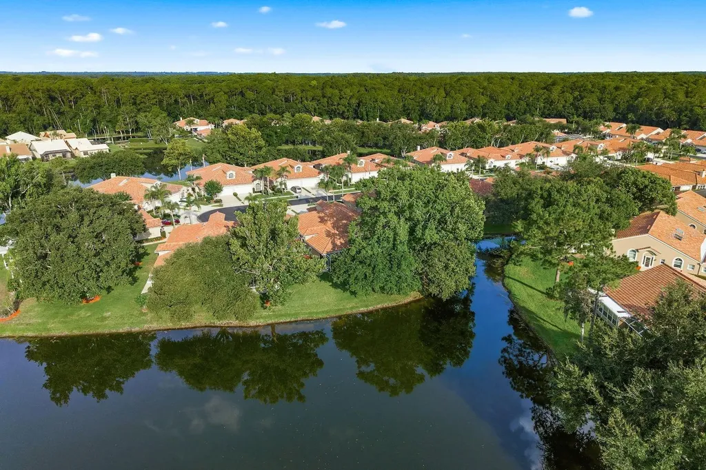 3857 Timber Ridge Court Palm Harbor FL 34685