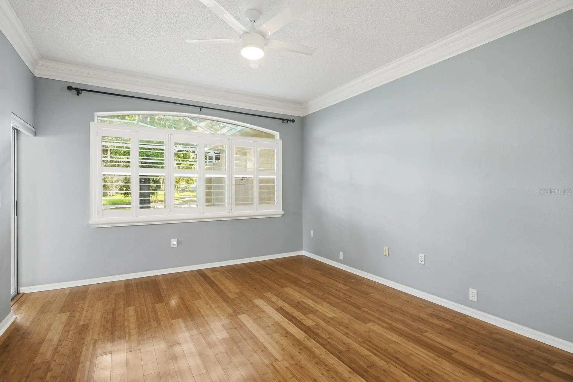 3857 Timber Ridge Court Palm Harbor FL 34685