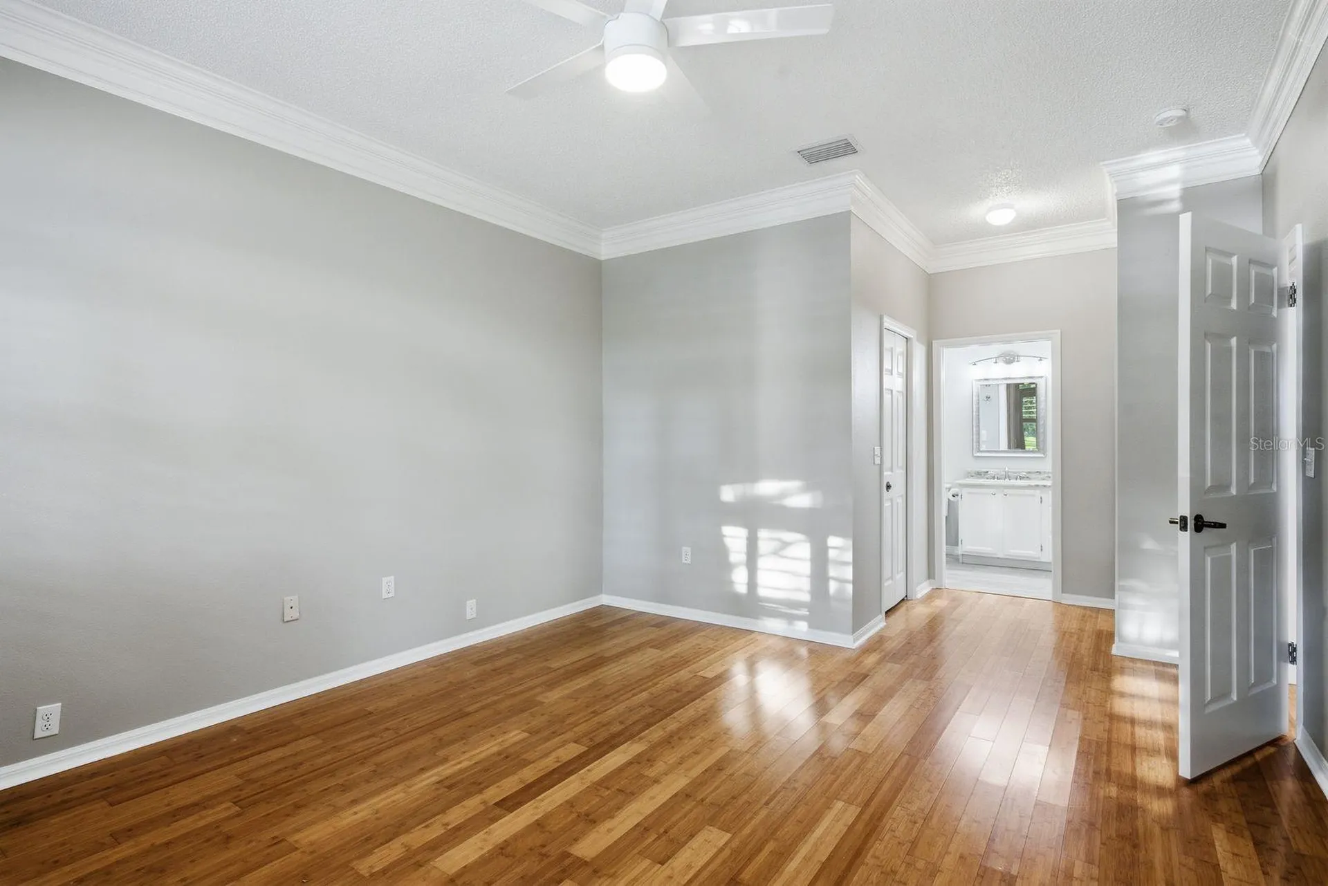 3857 Timber Ridge Court Palm Harbor FL 34685