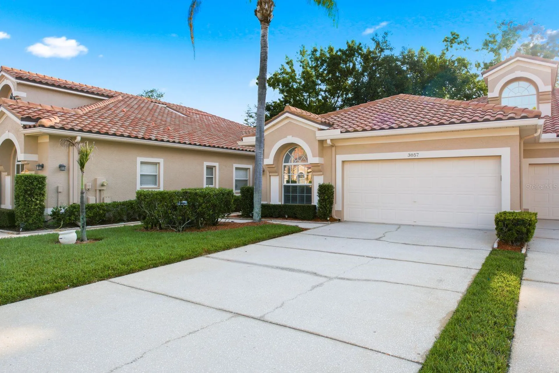 3857 Timber Ridge Court Palm Harbor FL 34685