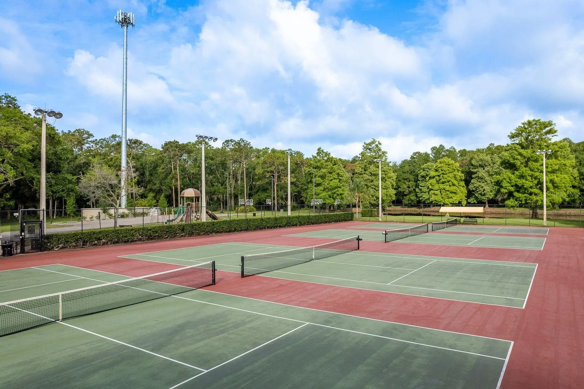 3857 Timber Ridge Court Palm Harbor FL 34685