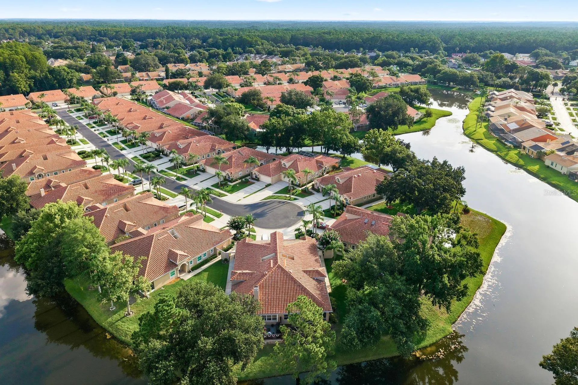 3857 Timber Ridge Court Palm Harbor FL 34685