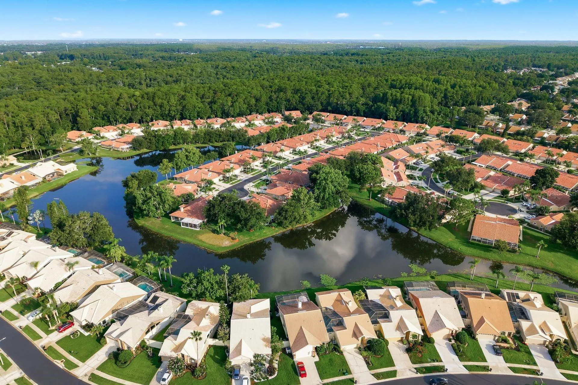 3857 Timber Ridge Court Palm Harbor FL 34685