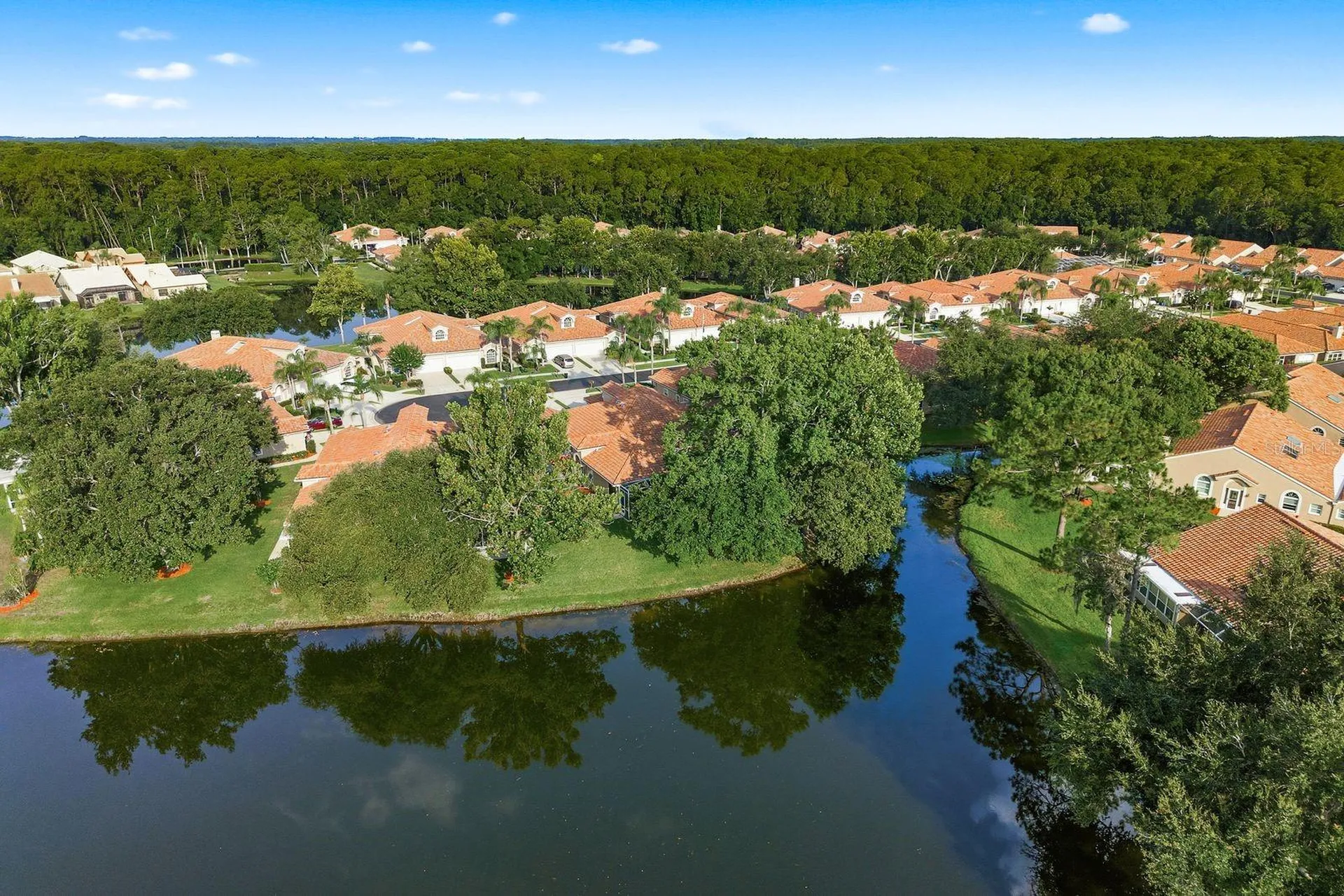 3857 Timber Ridge Court Palm Harbor FL 34685