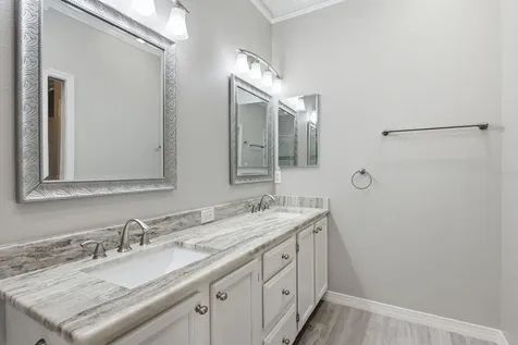 3857 Timber Ridge Court Palm Harbor FL 34685